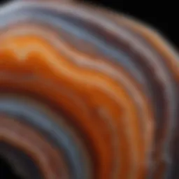 Close-up view of agate showcasing intricate banding patterns