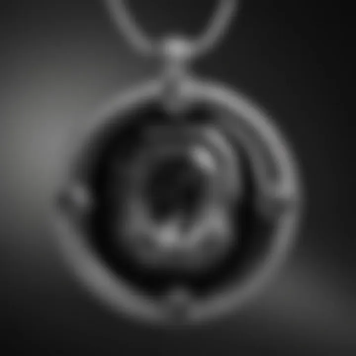 A close-up view of a black and white gemstone pendant, emphasizing the contrast and design.