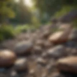 Different types of landscape rocks arranged in a garden