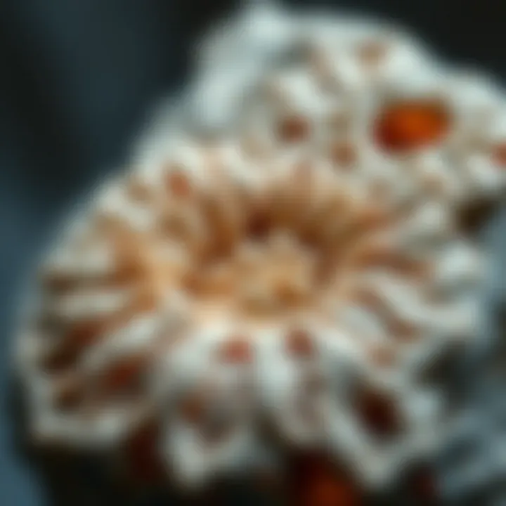 Close-up view of asterophyllite revealing fine details.