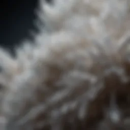 A close-up view of calcium magnesium carbonate crystals showcasing their intricate structure.