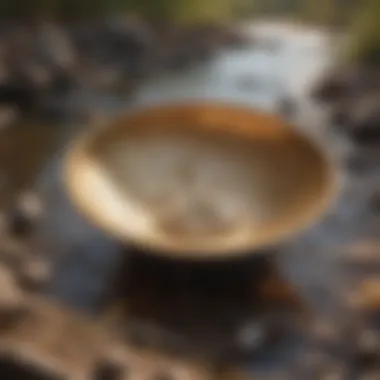 A detailed close-up of a gold prospecting pan in use at a riverbank