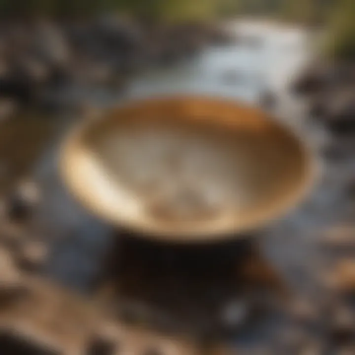 A detailed close-up of a gold prospecting pan in use at a riverbank