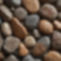 A close-up view of various rock types showcasing their textures