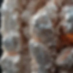 Close-up view of dolomite crystal showcasing its unique structure