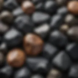 A close-up view of shungite stones showcasing their unique textures and colors