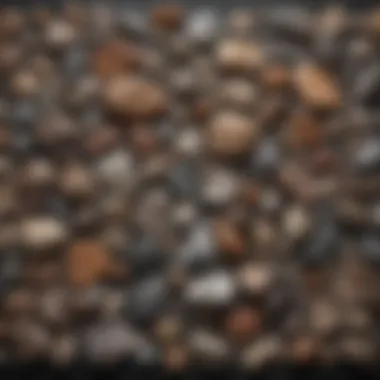 A collection of different rock types for geological study