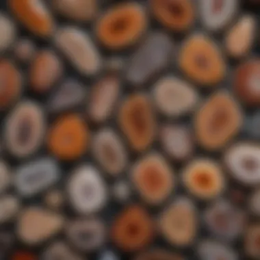 Elegant Display of Banded Agate Collection Collection of various banded agate specimens displayed elegantly