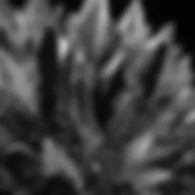 Artistic Display of Black and White Crystals A stunning display of various black and white crystals arranged artistically