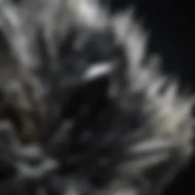 An artistic representation of the metaphysical properties attributed to black and white crystals