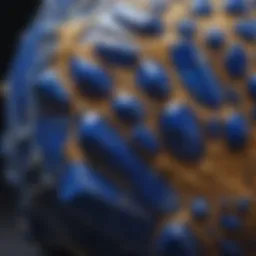 A stunning close-up of a lapis lazuli crystal showcasing its vibrant blue hues and golden flecks.