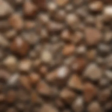 Display of various brownish quartz specimens in a mineral collection.