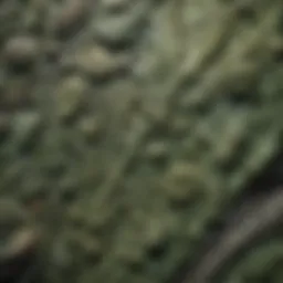 A close-up view of fossil green showcasing intricate patterns and textures.
