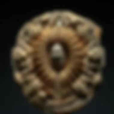 An intricate trilobite fossil showcasing detailed preservation