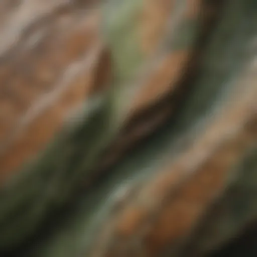 Close-up view of a green stone showcasing intricate brown veins.