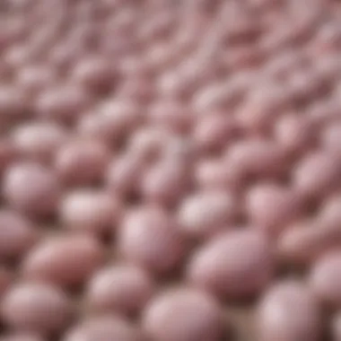 A beautifully arranged display of various rose quartz palm stones on a textured surface.