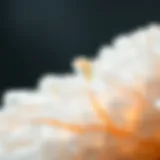 Stunning close-up of white crystal with vibrant orange lines