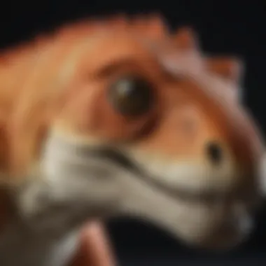 A close-up of the fabric and stitching of a premium Allosaurus stuffed animal