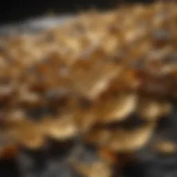 Intricate detail of real gold flakes sparkling under light