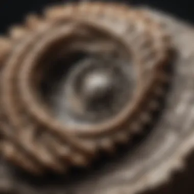 Intricate Fossil Details Close-up view of a unique fossil showcasing intricate details and textures