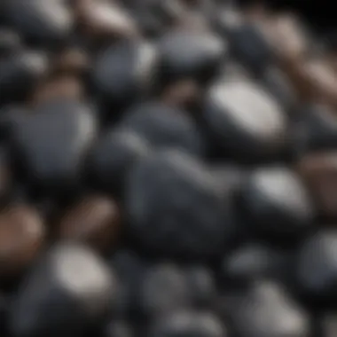 Diversity in Light Shiny Black Rock Collection Collection of various light shiny black rocks showcasing diversity