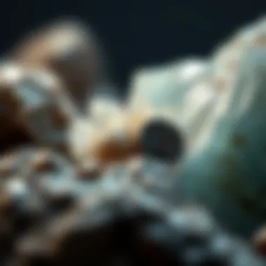 Exploring the Beauty of Crystals Within Rocks: A Visual Journey Summary