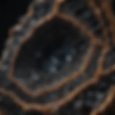 Intricate Structure of Black Calcite Geode Close-up view of a black calcite geode showcasing its intricate internal structure