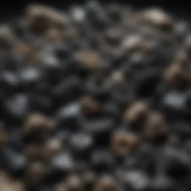 Diverse Collection of Black Calcite Specimens A display of various black calcite specimens collected by mineral enthusiasts
