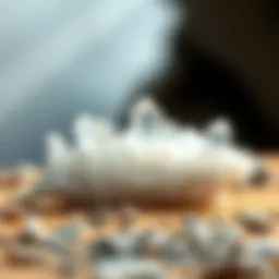 Exploring the Diverse Types of White Crystals Introduction