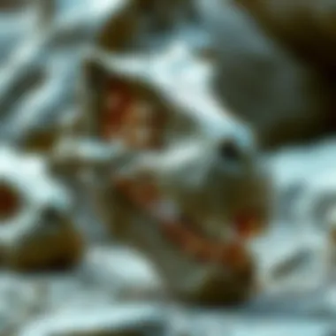 Artist's interpretation of the Allosaurus skull, highlighting creative elements