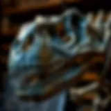 Detailed view of an Allosaurus skull replica showcasing intricate features