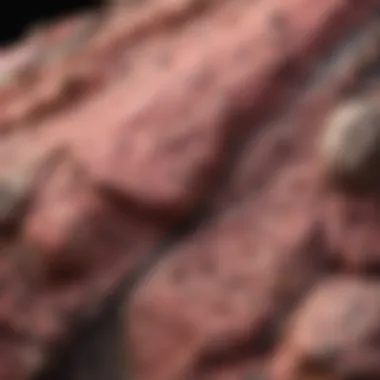 Close-up view of pink rock with distinctive black spots showcasing its texture