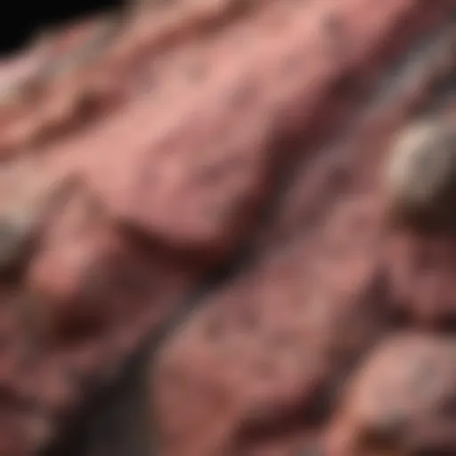 Close-up view of pink rock with distinctive black spots showcasing its texture