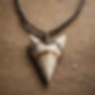 Historical representation of indigenous cultures using shark tooth jewelry in rituals