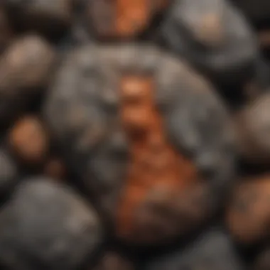 A close-up view of a large volcanic rock displaying intricate textures and colors.