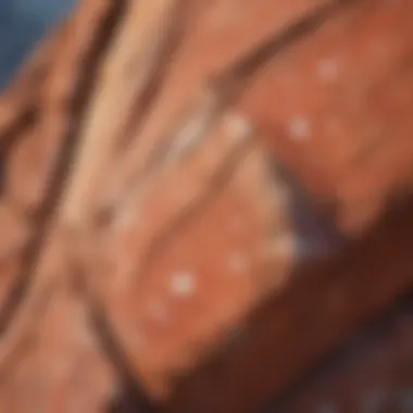 Close-up view of red rock displaying distinct white spots