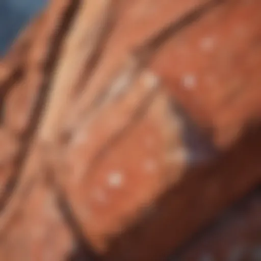 Close-up view of red rock displaying distinct white spots