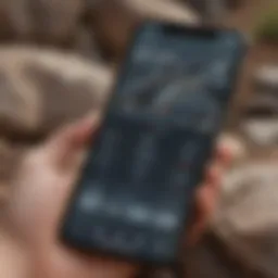 A close-up view of a smartphone displaying a rock detector application interface.