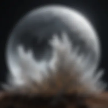 Artistic Representation of Selenite Moon An artistic representation of the Selenite Moon intertwining with natural elements.