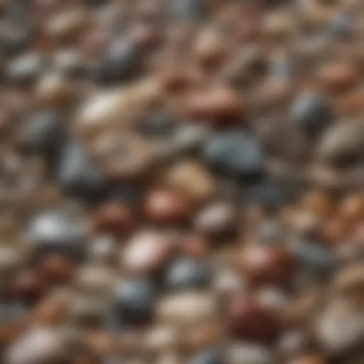 An intricately arranged display of various types of polished rocks on a natural background.