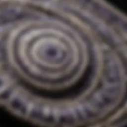 Close-up view of intricate wampum bead designs showcasing craftsmanship.