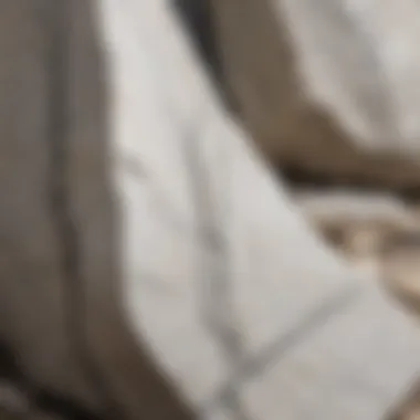 A close-up view of white stone exhibiting distinctive grey veins