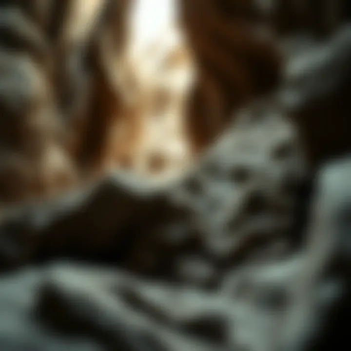 Geological formation containing asterophyllite deposits.