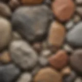 A close-up view of different rock types showcasing their unique textures and colors