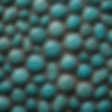 Close-up view of small turquoise cabochons showcasing their intricate patterns