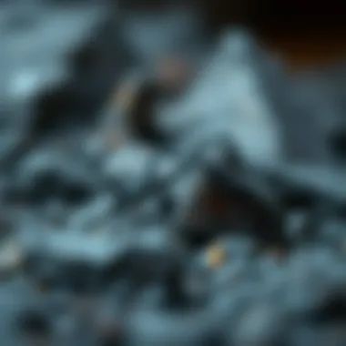 Iron's role in diverse ecosystems