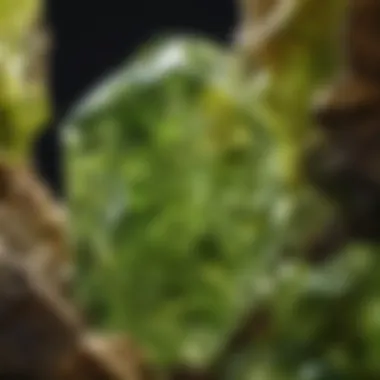 Close-up of a vibrant olivine crystal showcasing its rich green hue and unique geometric patterns