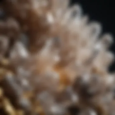 The Brilliance of Quartz Crystals A striking quartz crystal cluster displaying its multifaceted brilliance.