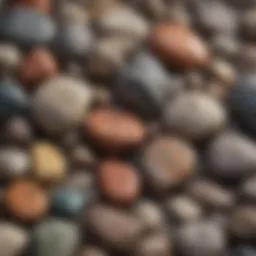 A stunning display of various rock types showcasing their unique textures and colors.