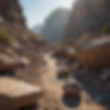 Ideal Rocky Terrain for Exploration A serene landscape showcasing a rocky terrain ideal for rock picking
